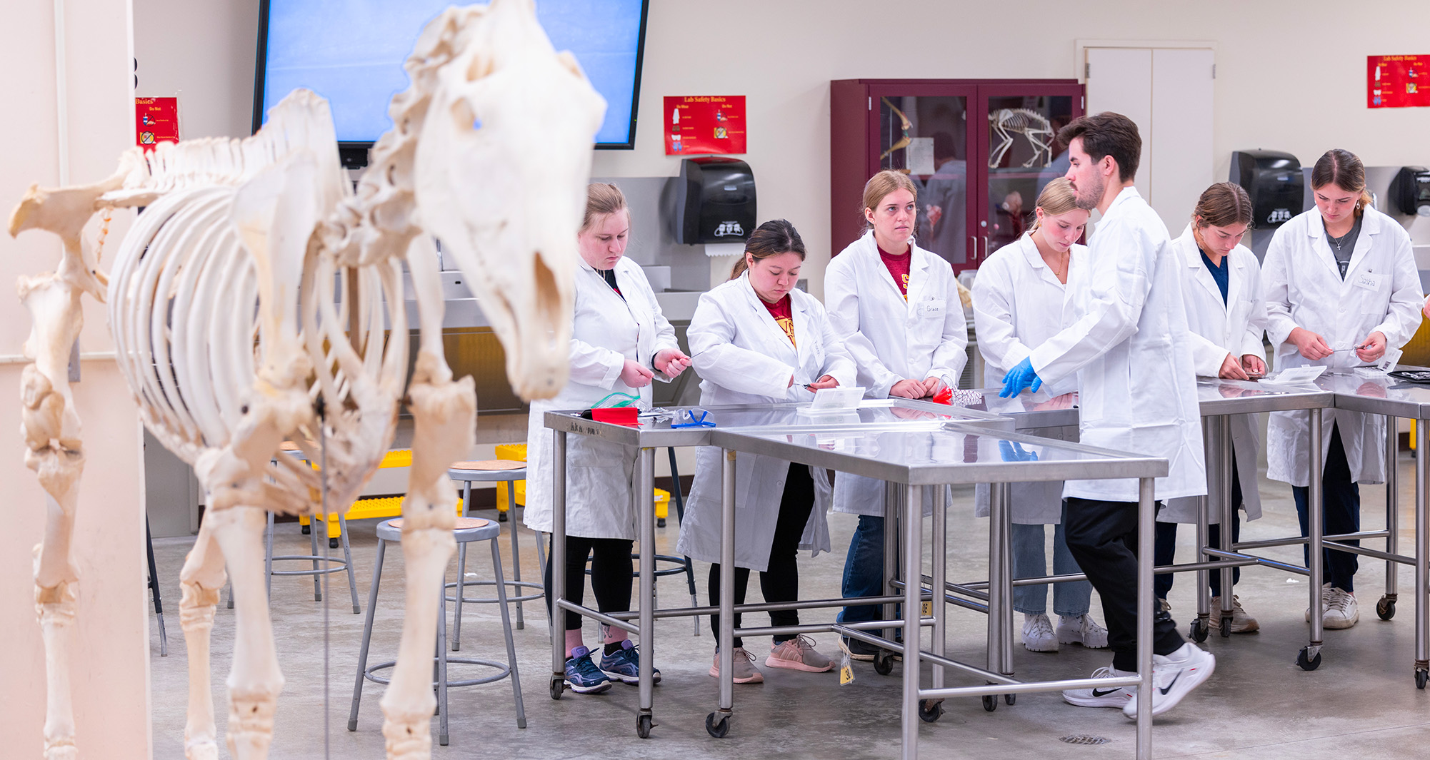 students in anatomy lab