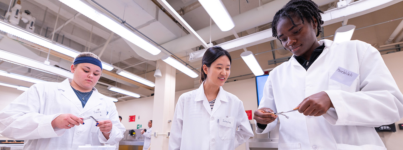 students in a lab setting