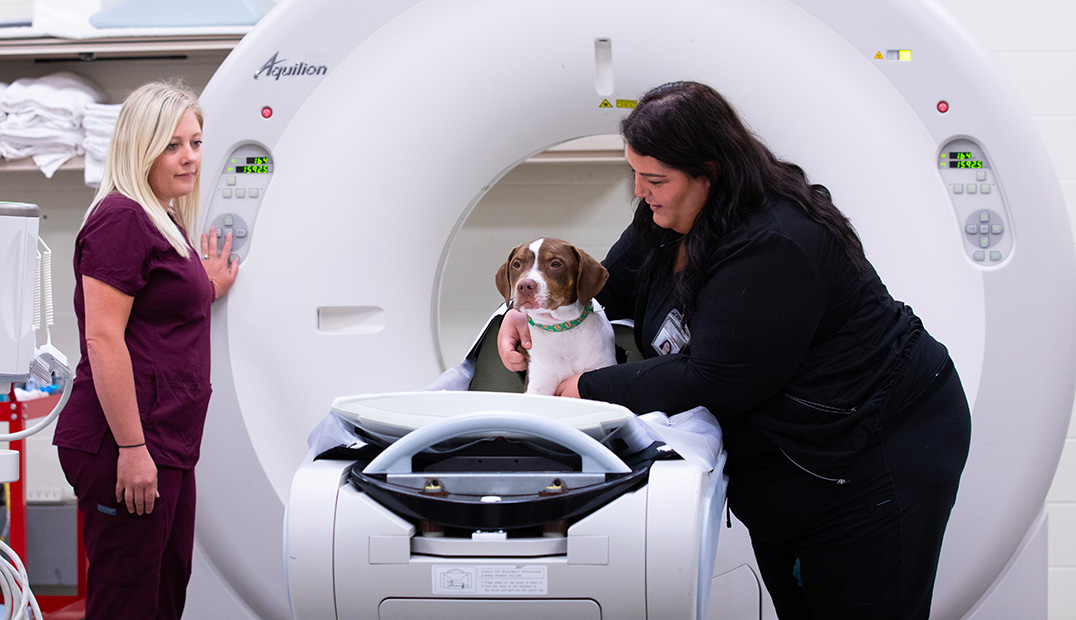 diagnostic-imaging-20230718_Vet_Med740-feature-set