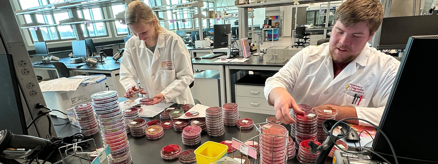 technicians processing submissions in a lab