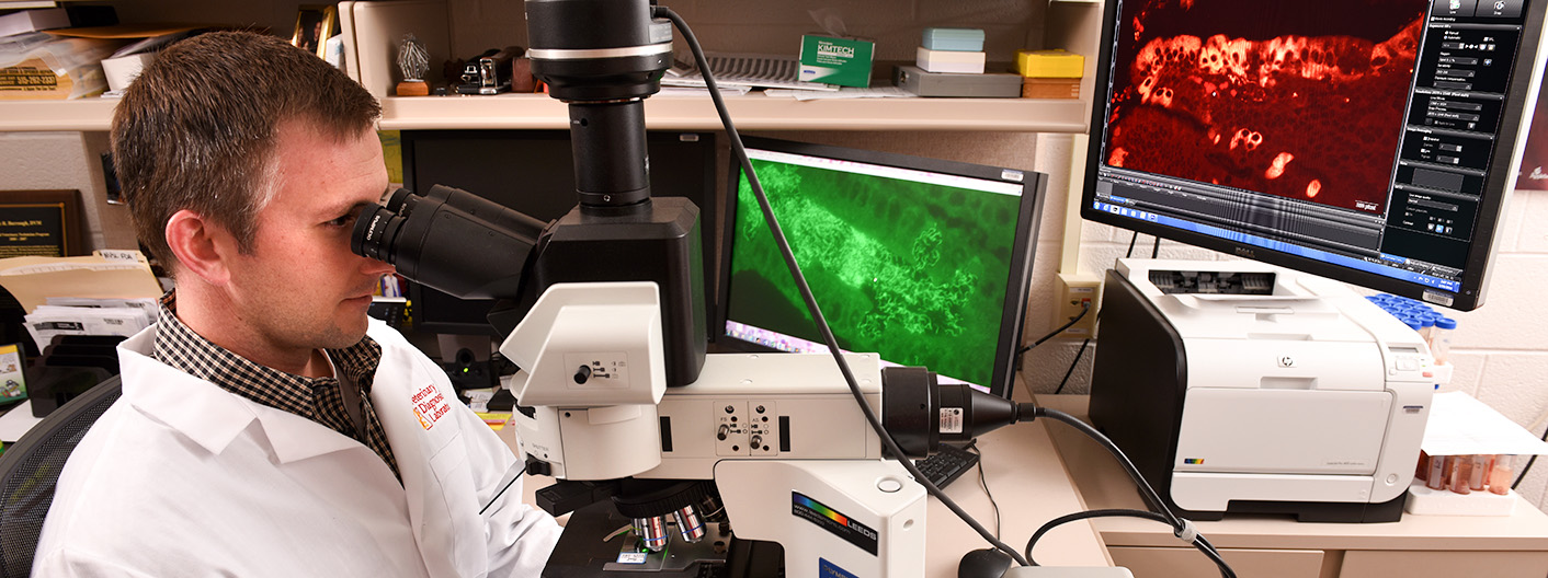 VDL faculty examining sample through microscope