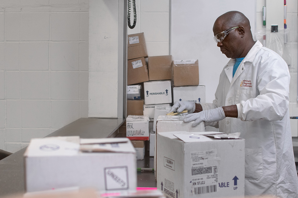 mailroom staff receiving samples