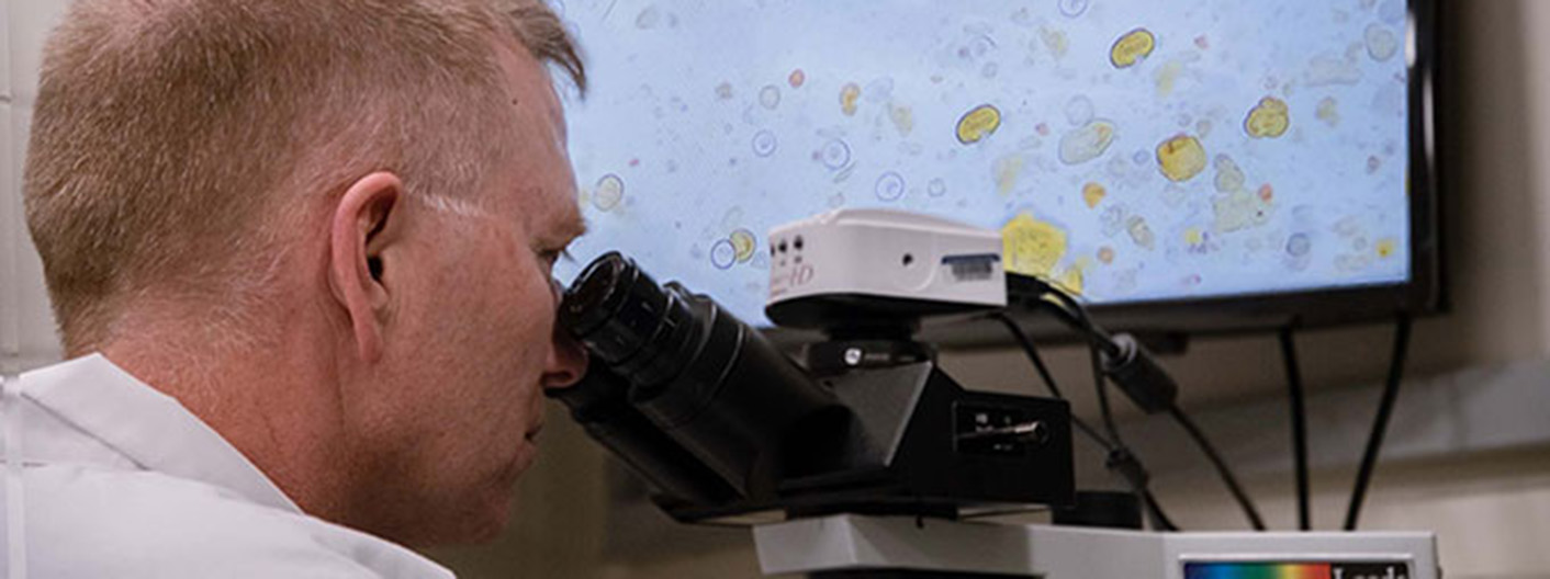 VDL staff examining sample using microscope