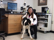 Janke holding calf that resulted from biopsied embryo