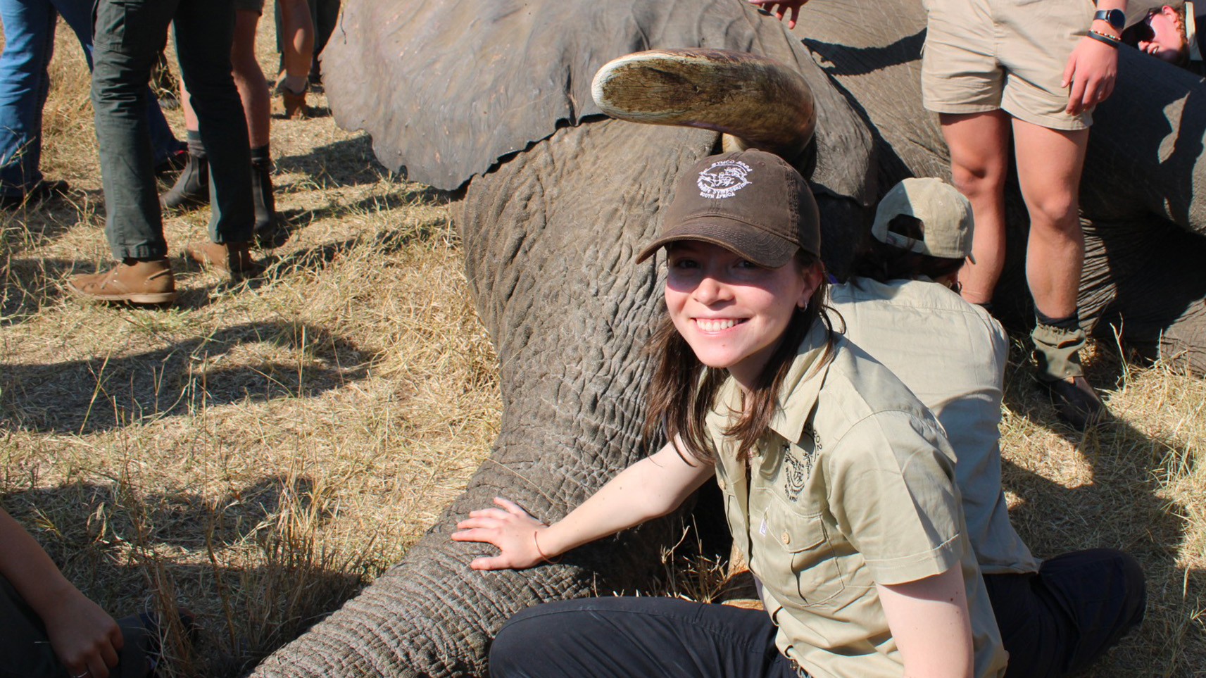 veterinary student with elephant