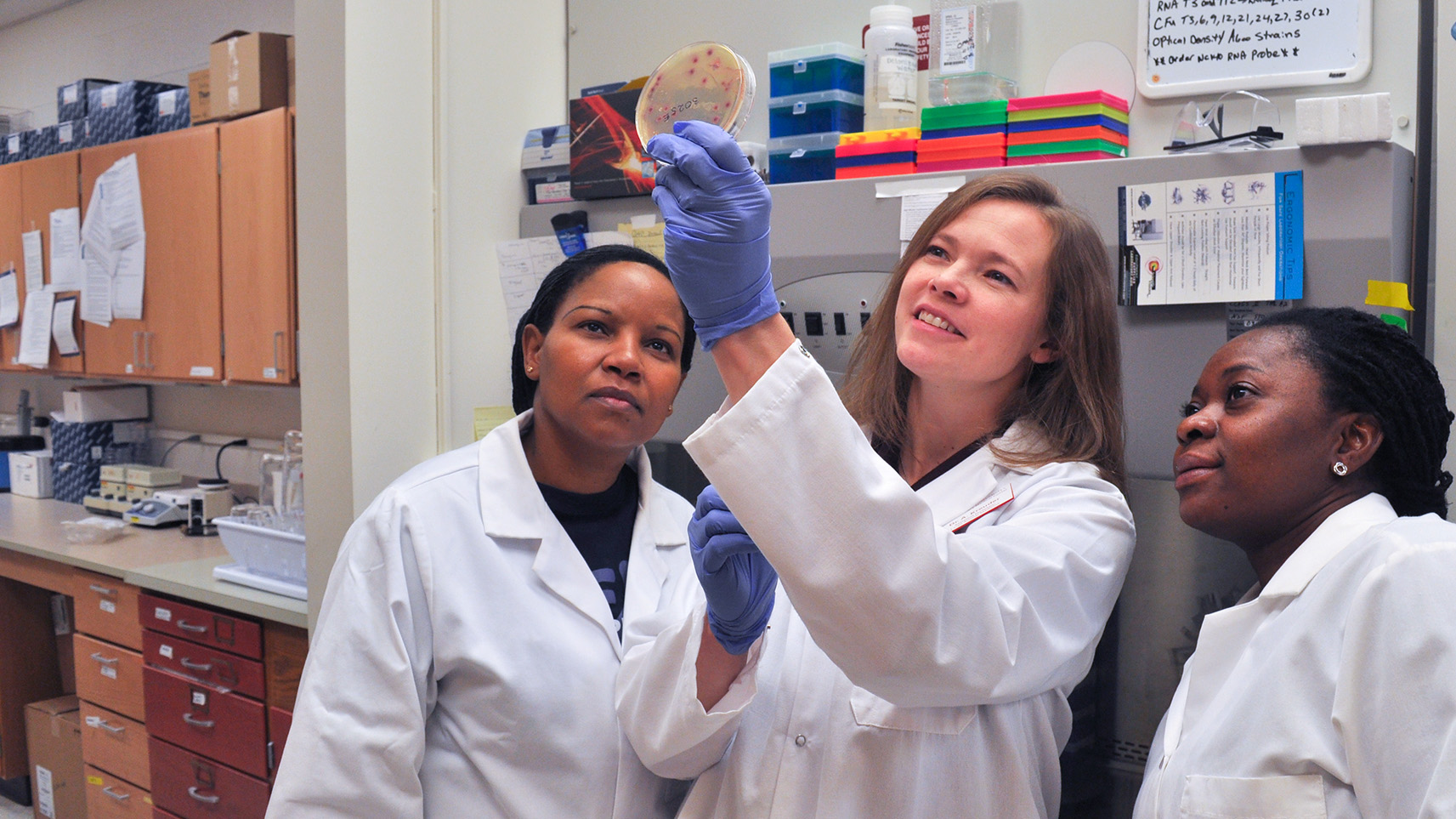 Dr. Amanda Krueder examining sample with lab assistants