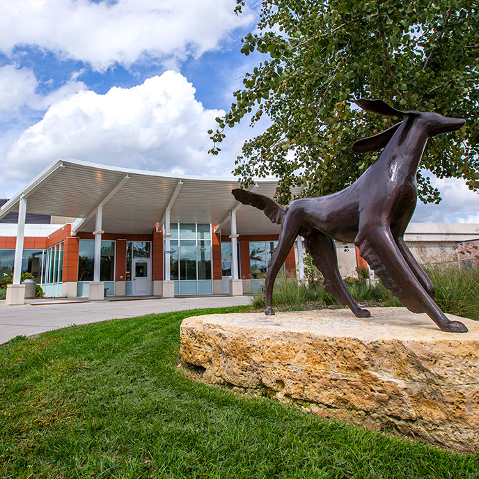 Small Animal Hospital entrance