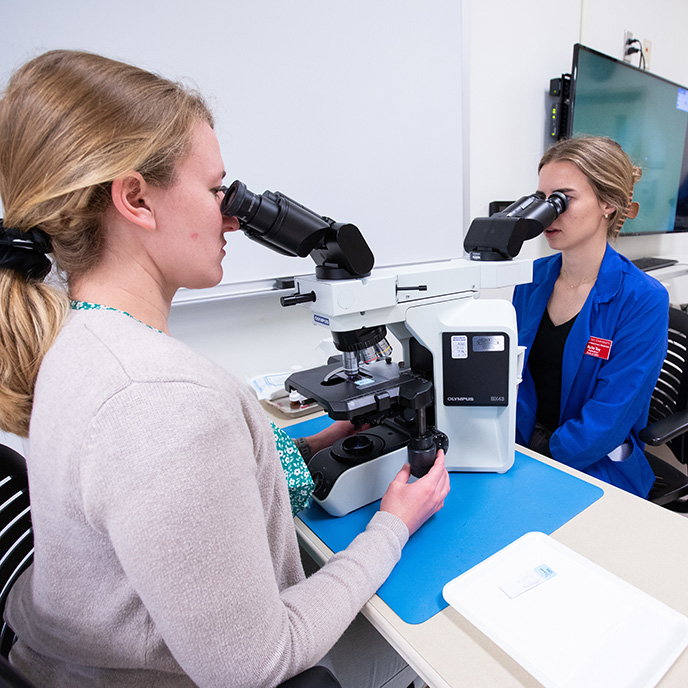 DVM students viewing slides with double microscope