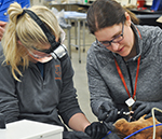 Dental wet lab