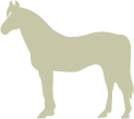 horse