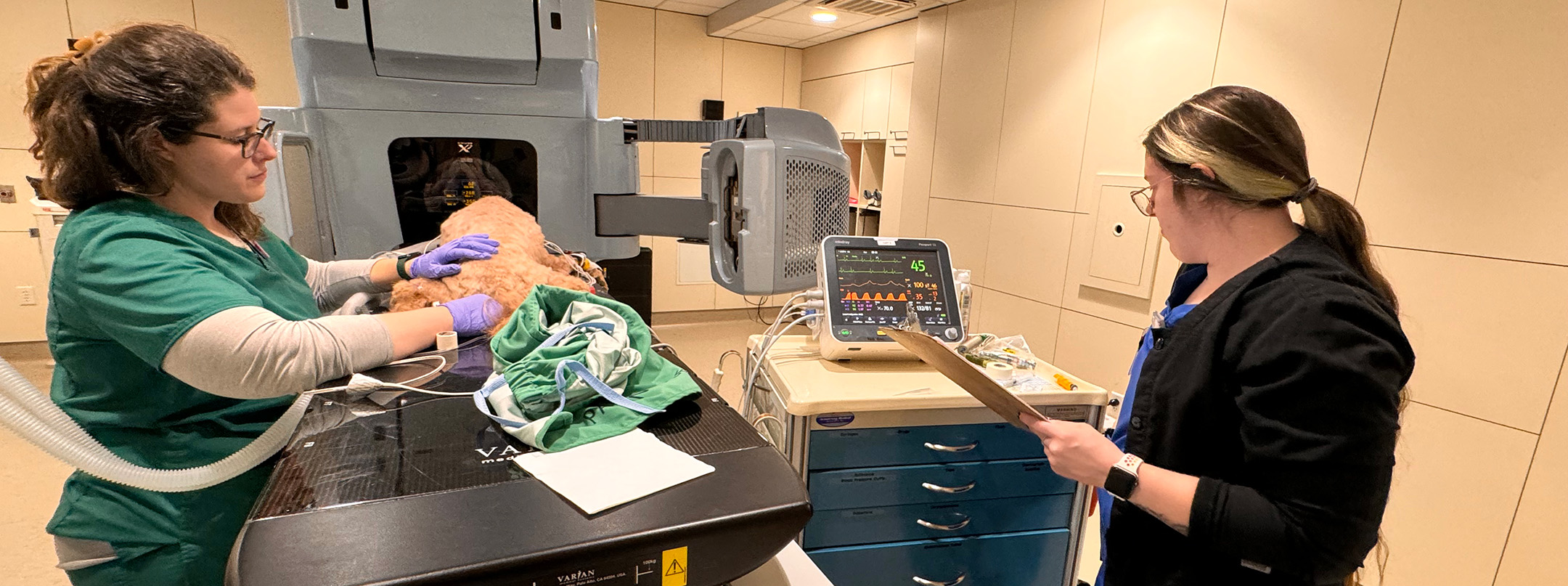 Technician preparing canine patient for treatment