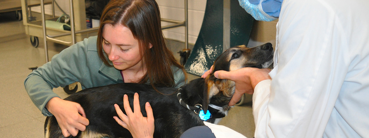 Summer Scholar student with canine