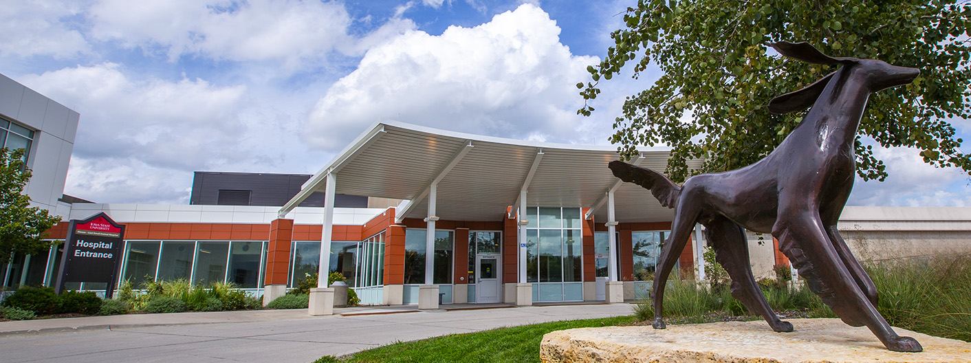 Small Animal Hospital exterior