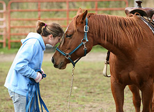 owner with horse