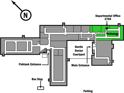 Pathology Map Directions